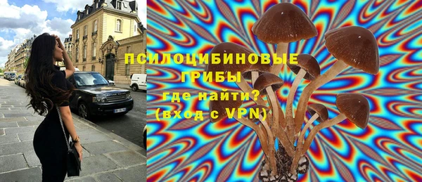 экстази Дмитриев