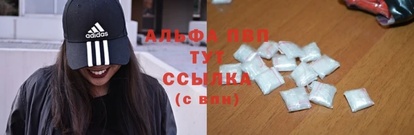 экстази Дмитриев