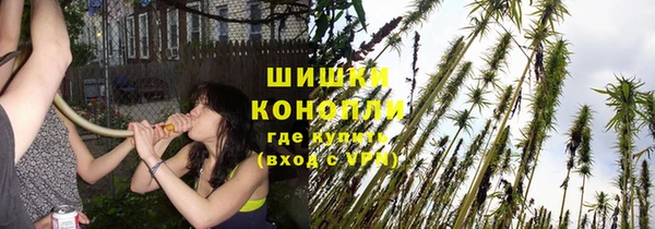 соль ск Дмитровск