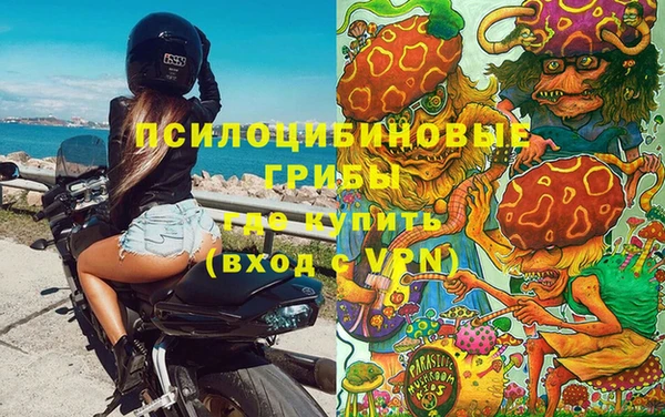 соль ск Дмитровск