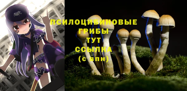 кокаин премиум Тавда