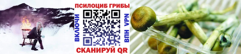 Галлюциногенные грибы MAGIC MUSHROOMS  Ишим 