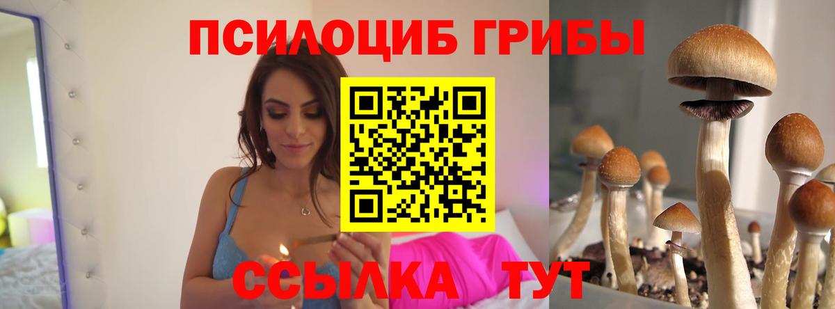 Псилоцибиновые грибы прущие грибы  Вход с VPN  купить   Псилоцибиновые грибы Psilocybine cubensis  Ишим 